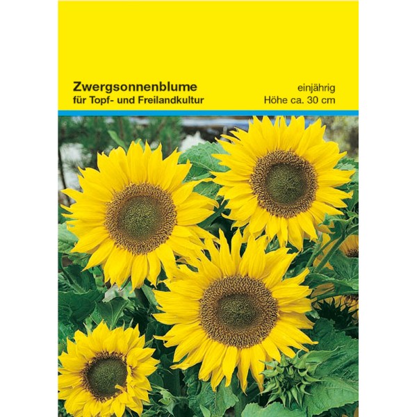 Samentütchen Zwergsonnenblume 82 x 114 mm